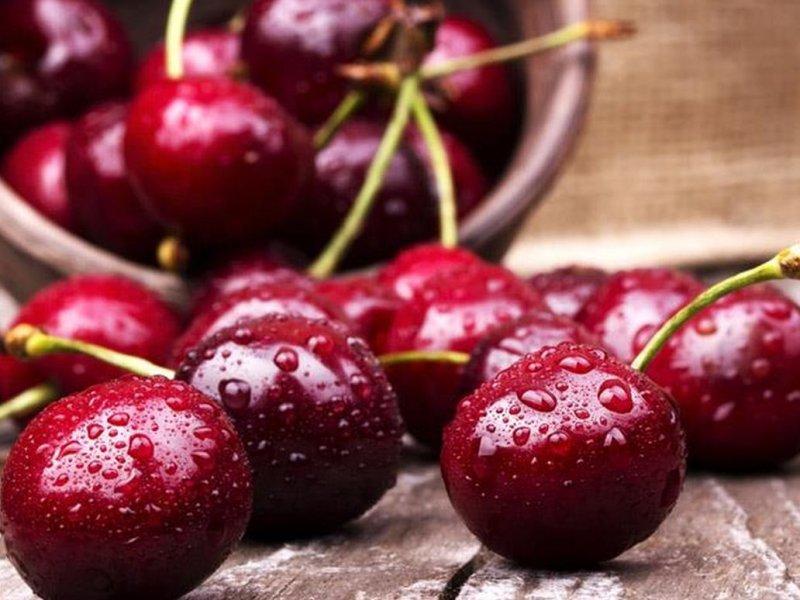 Вишня купить саженцы из питомника в Саранске